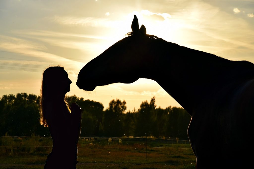 sunset, horse, human-1722437.jpg